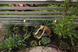 Low-Maintenance Gardening Tips
