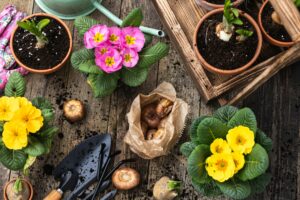 Flower Gardening