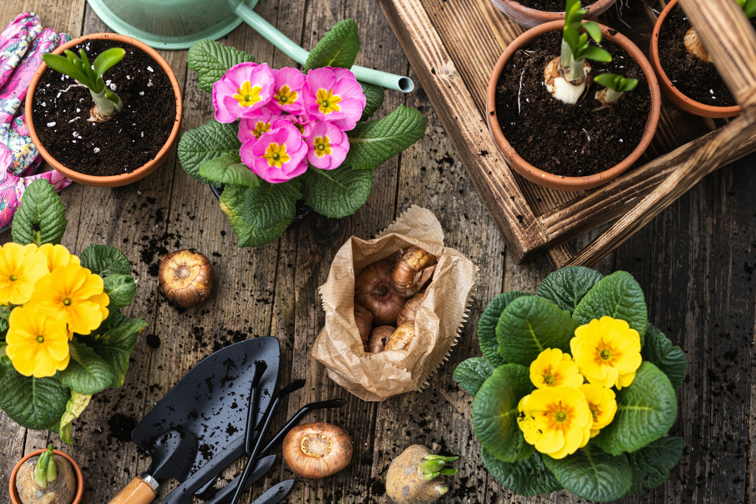 Flower Gardening