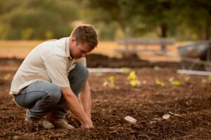 Soil Quality