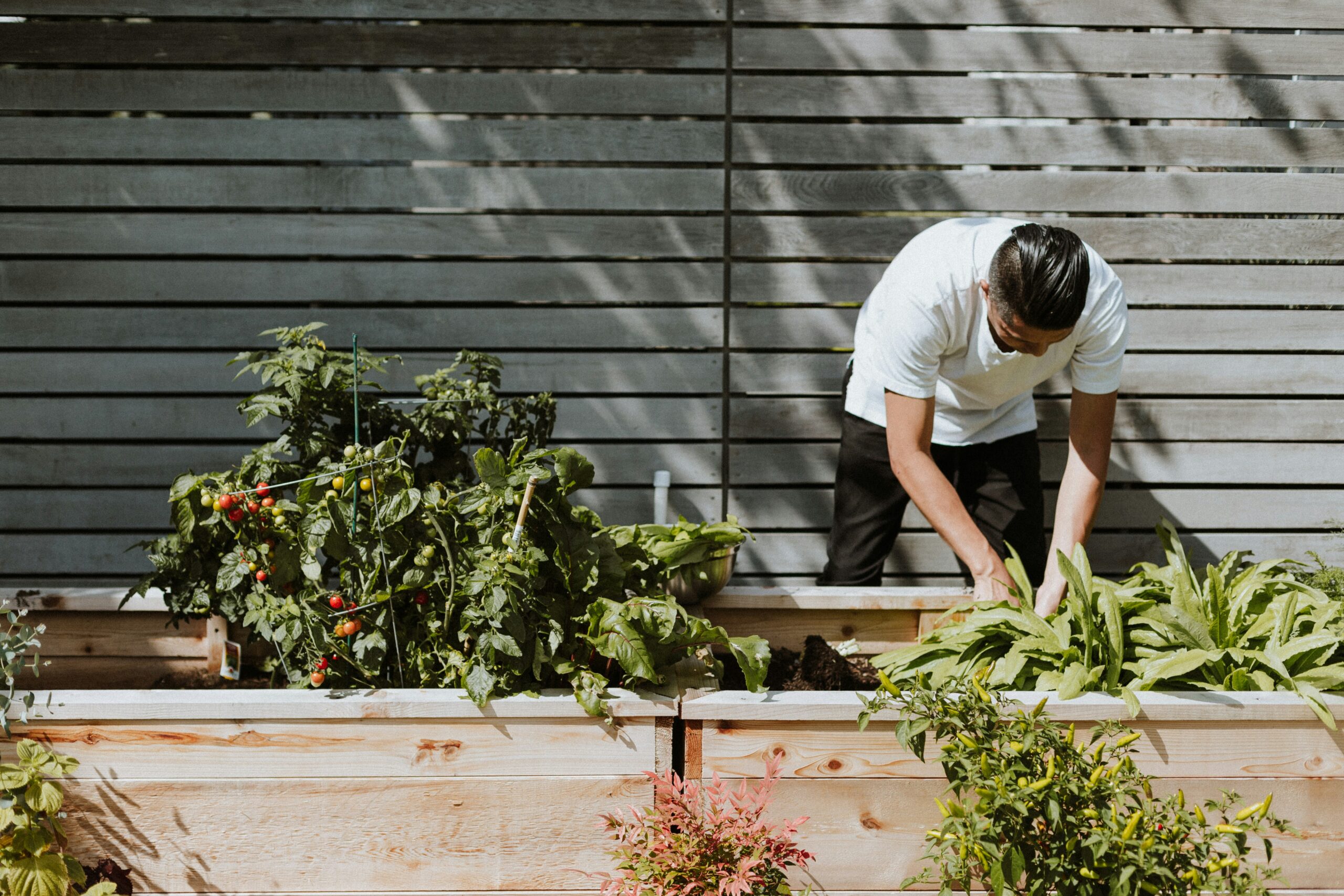 Organic Gardening